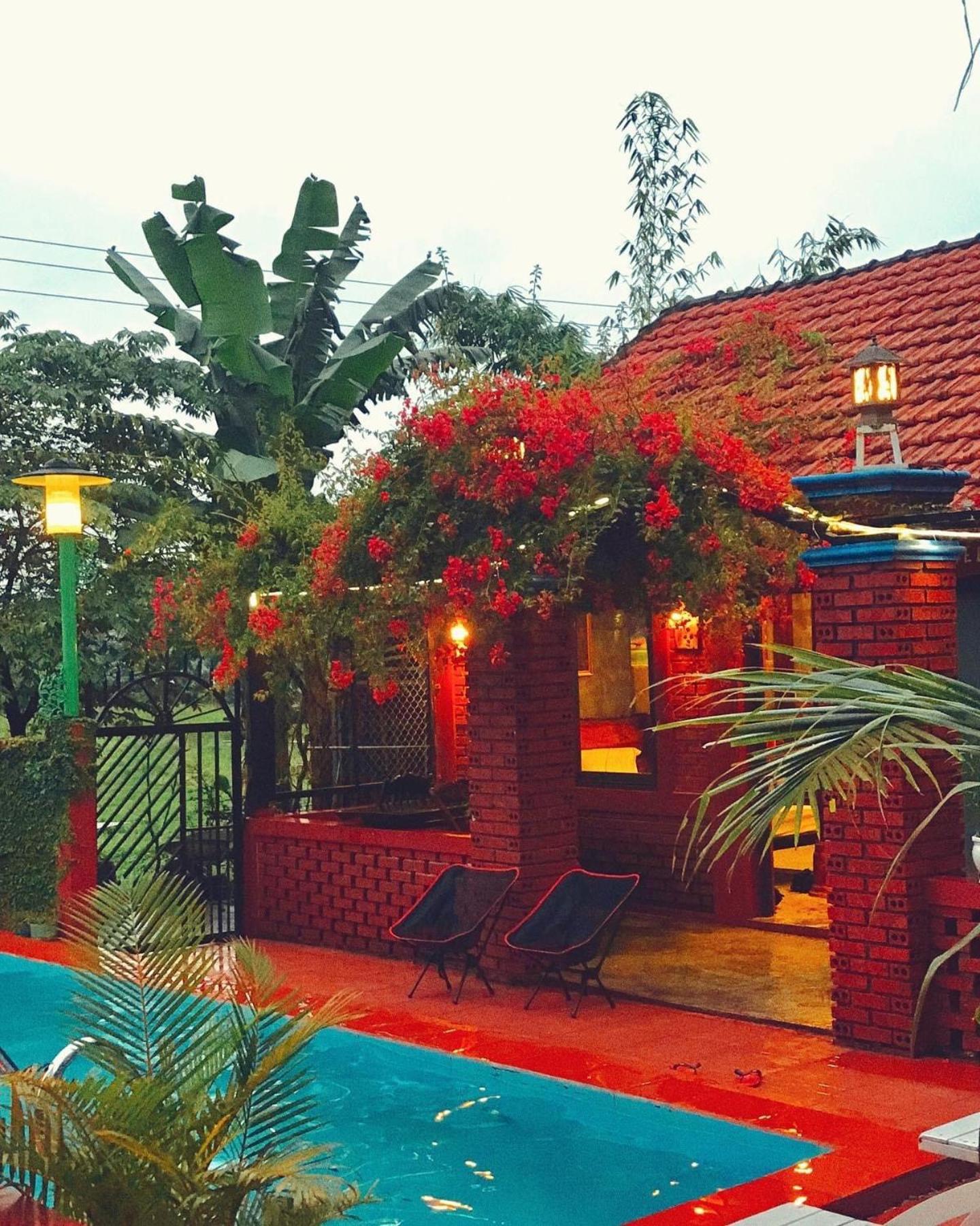 Vu'S Homestay Phong Nha Extérieur photo